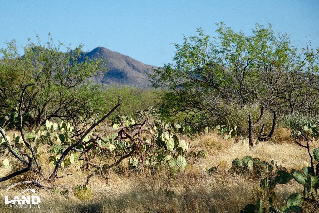 Deerfield - Pima, AZ