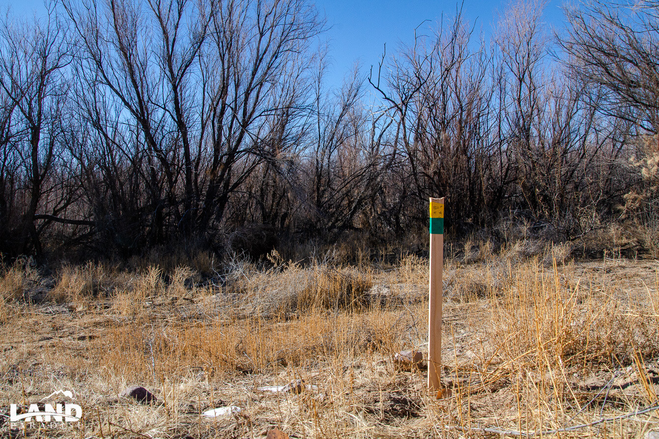 Rio - Socorro, NM
