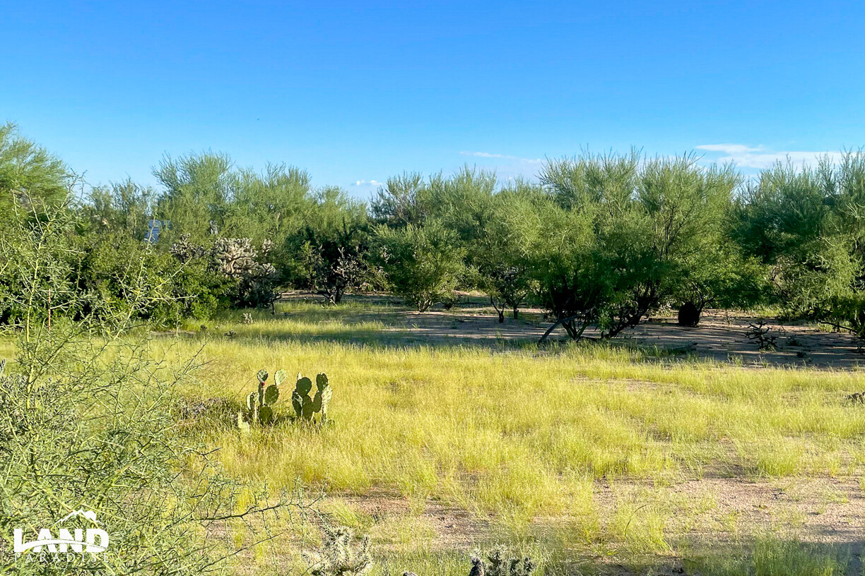 Horses - Pima, AZ (PROCESSING FEE ONLY)