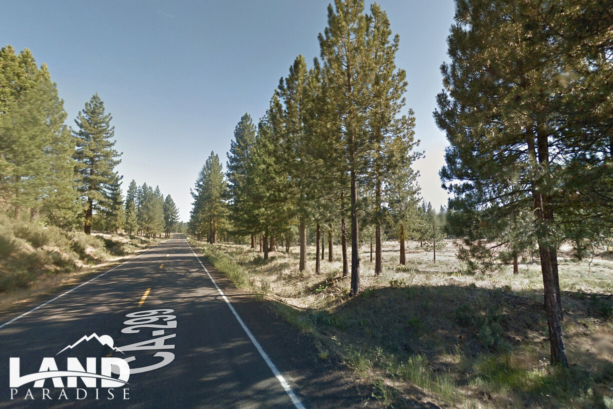 Bonanza - Modoc, CA (PROCESSING FEE ONLY)