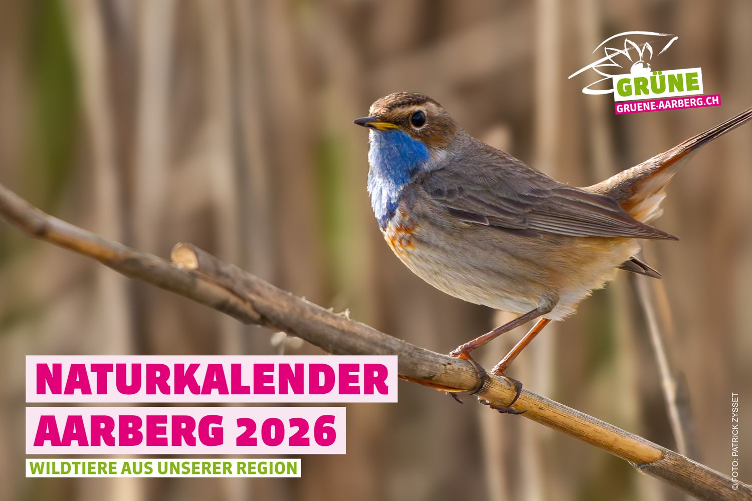 Naturkalender Aarberg 2026