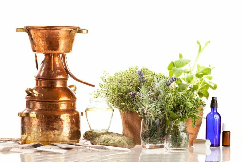 Hydrolate Pflanzenwässer selber destillieren Sonntag 14.03.2026 Beginn 10:00 Uhr