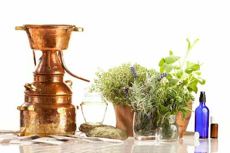 Hydrolate Pflanzenwässer selber destillieren Sonntag 14.03.2026 Beginn 10:00 Uhr