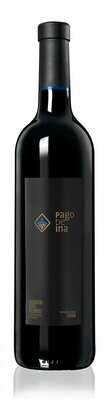 PAGO DE INA Selección 2018 0.75l (nur 8000 Flaschen)