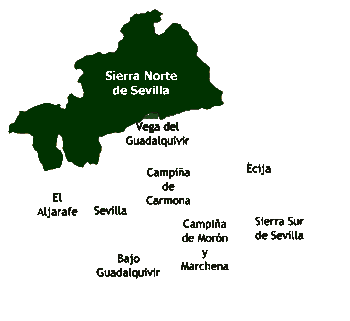 D.O.P.  Sierra Norte de Sevilla