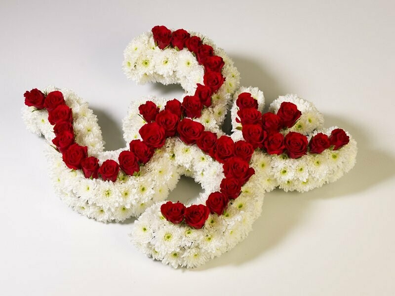 Hindu Tribute - Aum