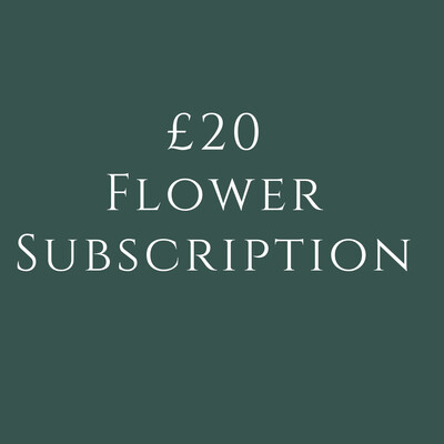 £20 Flower Subscription £20 Flower Subscription