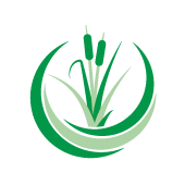 Rushy Meadow Primary Academy  - Summer Term 2 2026 - Wednesday
