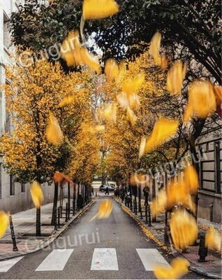 Madrid, Spain - Yellow leaves