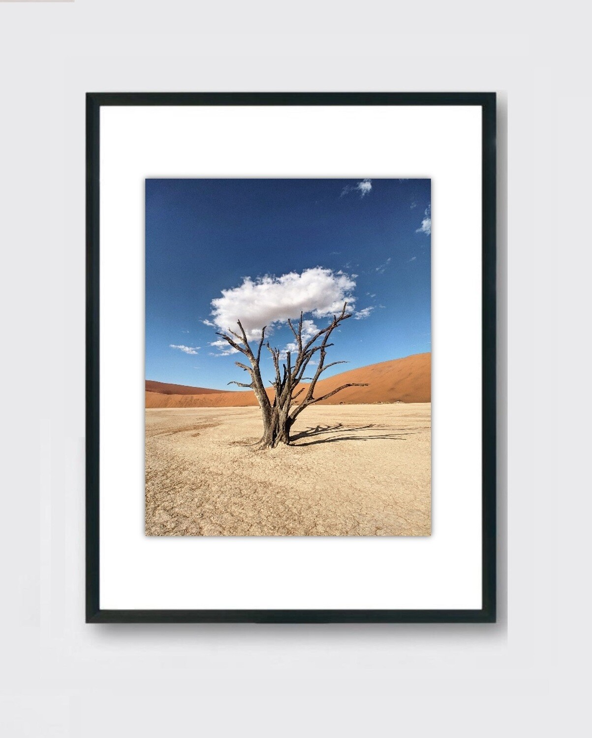 Namibia Tree Cloud