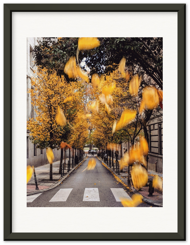 Madrid, Spain - Yellow leaves