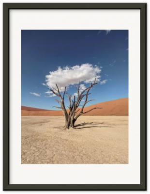 Namibia Tree Cloud