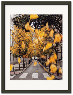Madrid, Spain - Yellow leaves