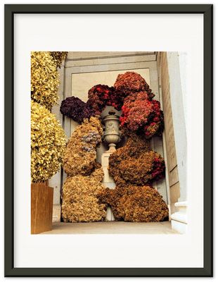 Prado - Flowers - Flores