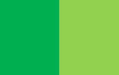 Farbe: grün - mint