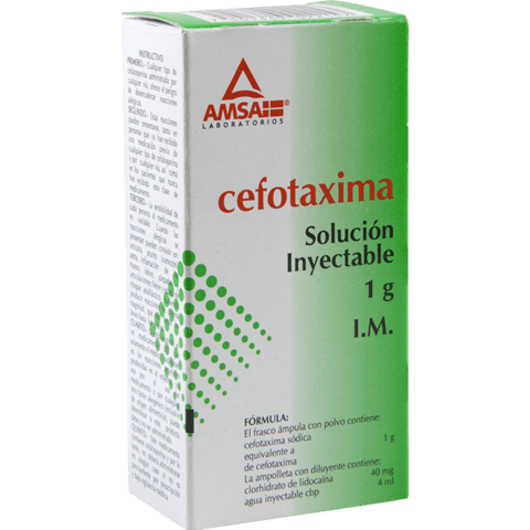 Cefotaxima Solución Inyectable 1g Intramuscular Cefotaxima Solución Inyectable 1g Intramuscular