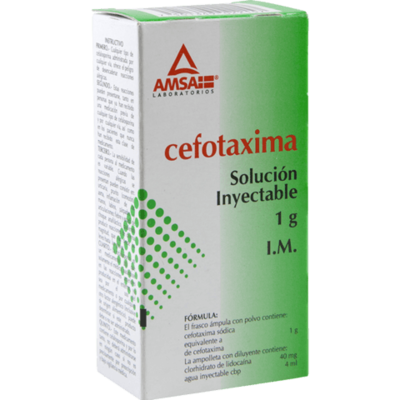Cefotaxima Solución Inyectable 1g Intramuscular Cefotaxima Solución Inyectable 1g Intramuscular