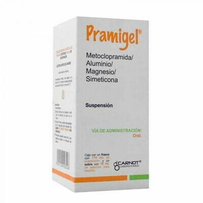 Pramigel Suspensión oral 170mL Pramigel Suspensión oral 170mL