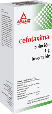 Cefotaxima Solución Inyectable 1g Intra Venosa Cefotaxima Solución Inyectable 1g Intra Venosa