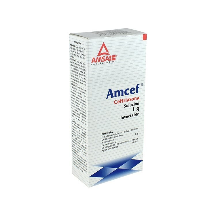 Amcef IM 1g Solucion Inyectable Intra Venosa