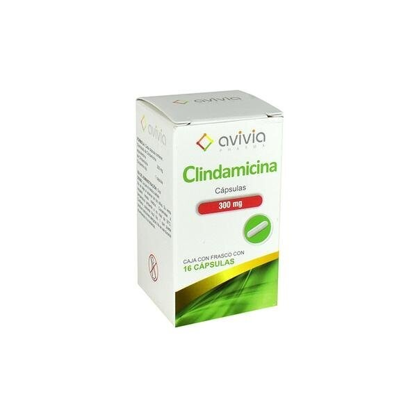 Clindamicina 300mg oral 16 capsulas