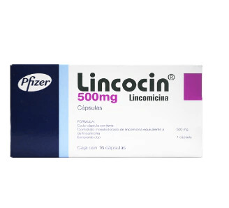 Lincocin 500mg oral 16 cápsulas Lincocin 500mg oral 16 cápsulas