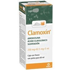 Clamoxin 250/62.5mg Suspensión Oral 60mL