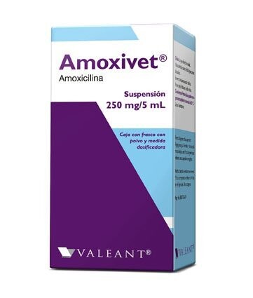 Amoxivet 250mg Suspensón Oral 75mL