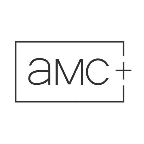 AMC+ Accounts 1 Year