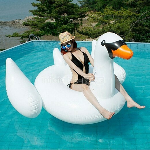 Swan Float