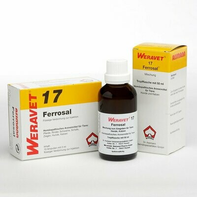 Ferrosal® 17