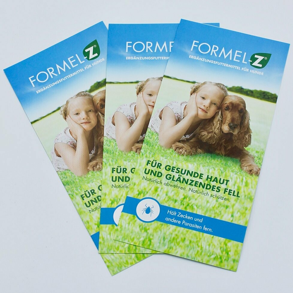 Flyer Formel-Z® für Hunde