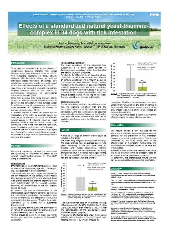 Poster Formel-Z Studie