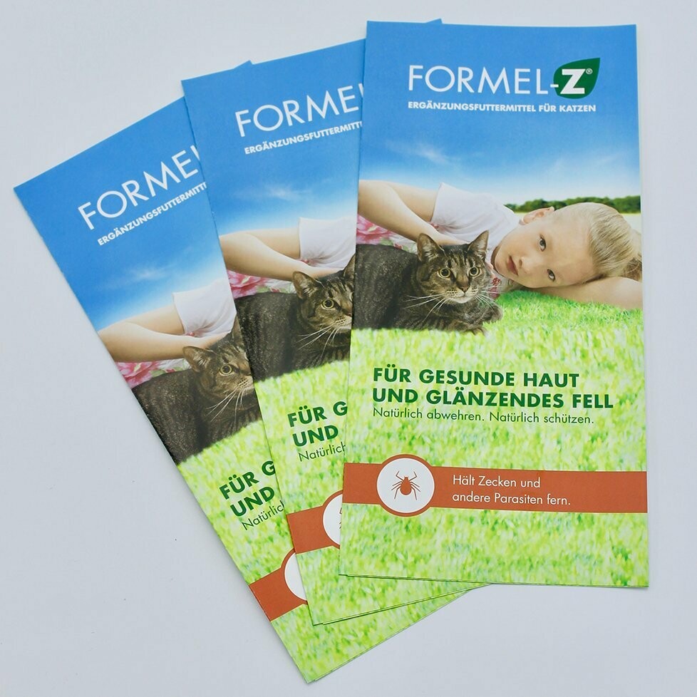 Flyer Formel-Z® Katze