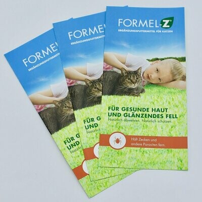 Flyer Formel-Z® Katze