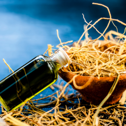 Vetiver