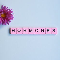 Hormonsystem