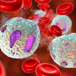 Immunsystem