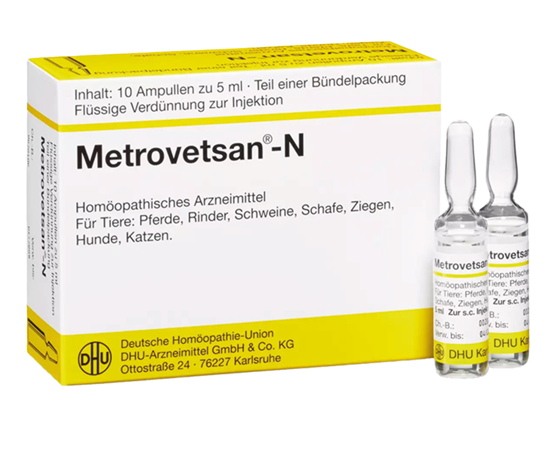 Metrovetsan® N Ampullen 20 x 5 ml