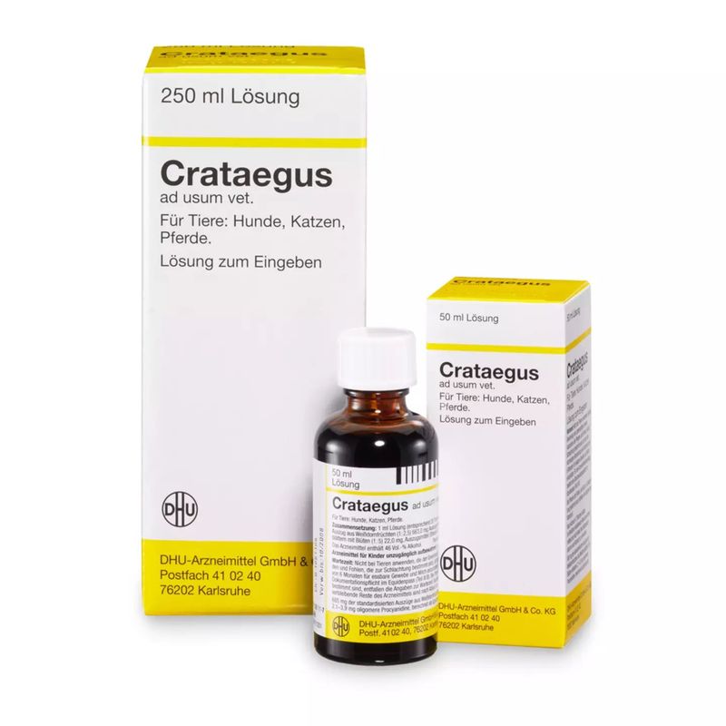 Crataegus ad usum vet.