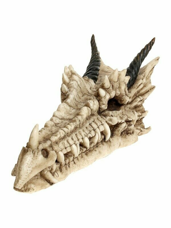 Draco Skull