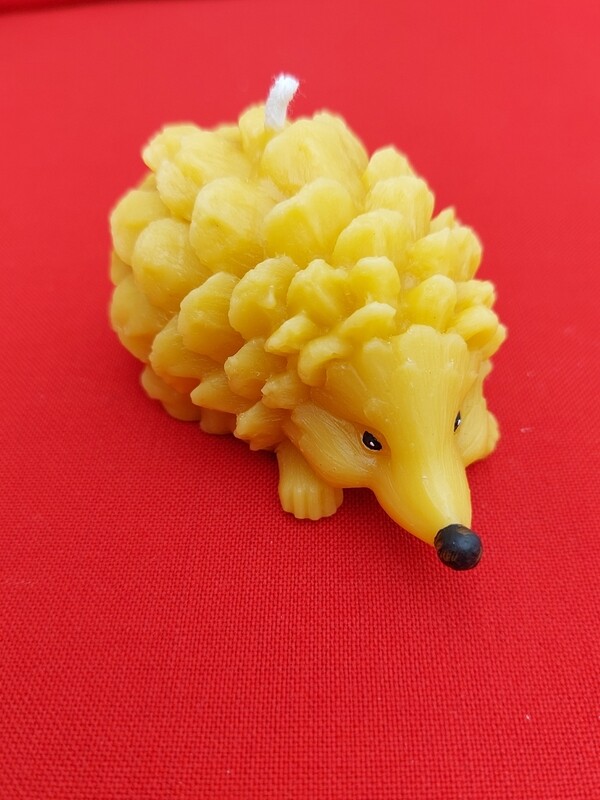 Hedgehog