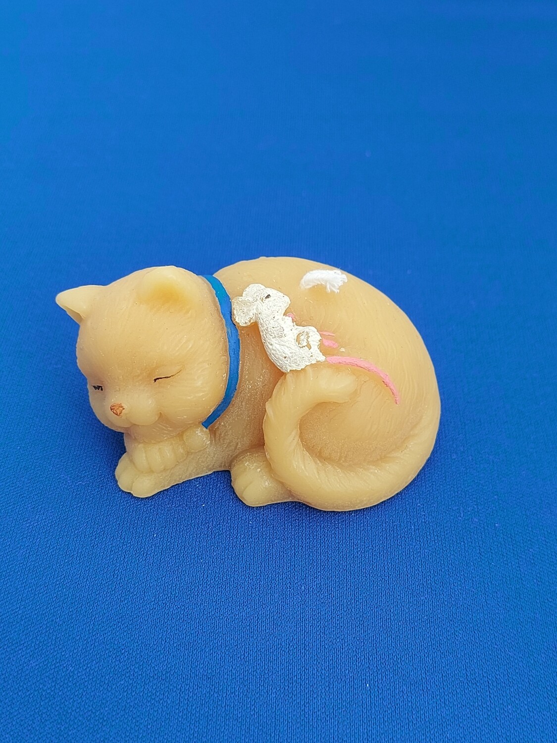 Sleepy cat with mouse wearing blue collar