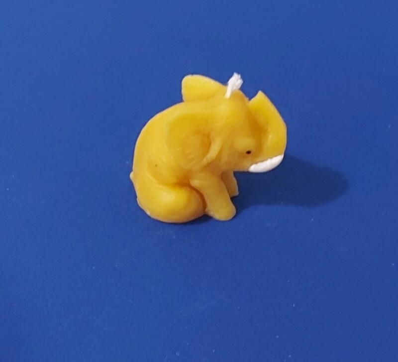 Baby Elephant