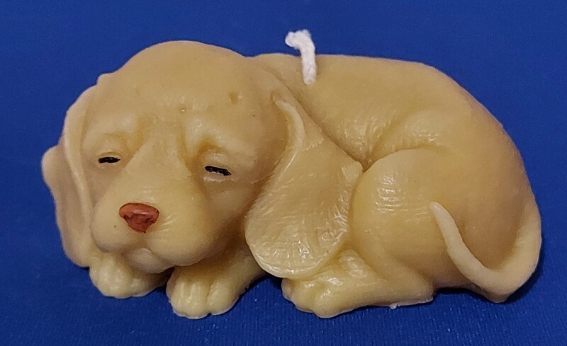 Sleepy Dog