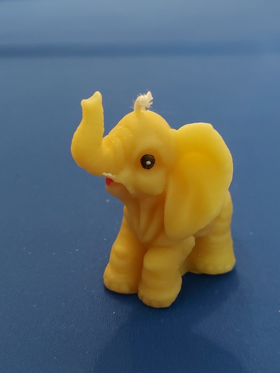 Medium Elephant