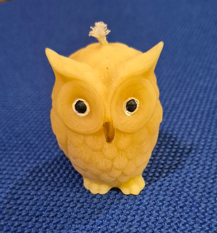 Small Owl