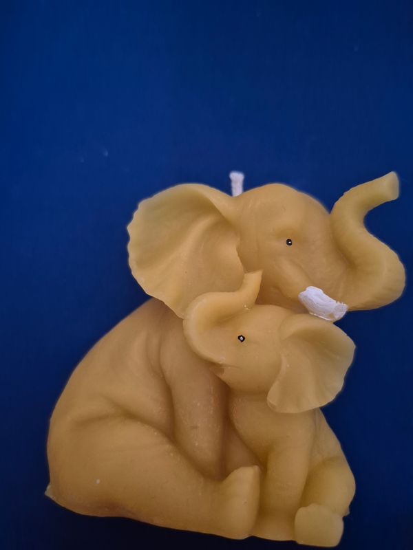 Mother and baby elephant