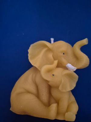 Mother and baby elephant