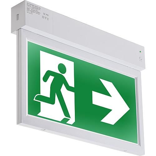 LED Notleuchte Sicherheitsleuchte Rettungszeichenleuchte XT200ST 3,5W ABB LED Notleuchte Sicherheitsleuchte Rettungszeichenleuchte XT200ST 3,5W ABB
